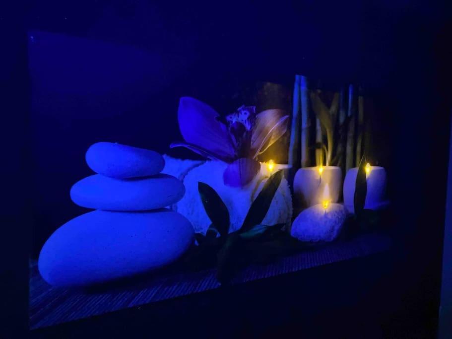 Vip Lounge Appartement Avec Jacuzzi Et Jardin Andenne Bagian luar foto